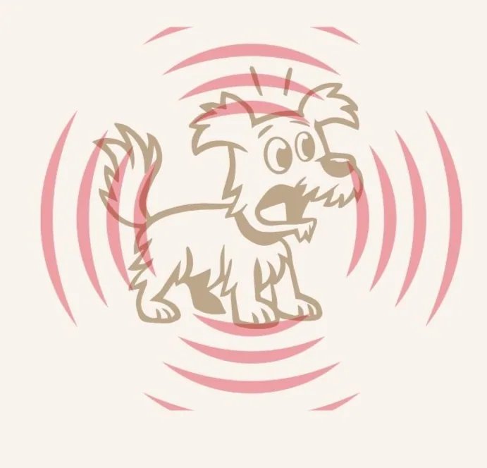 Illustration de l’article « Nourrir son chien une fois par jour : une habitude à questionner »