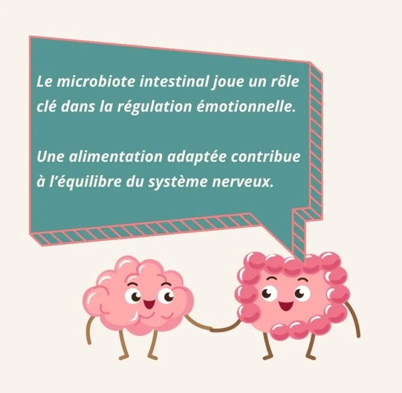 la qualité de l’alimentation : le microbiote influence aussi la régulation émotionnelle.