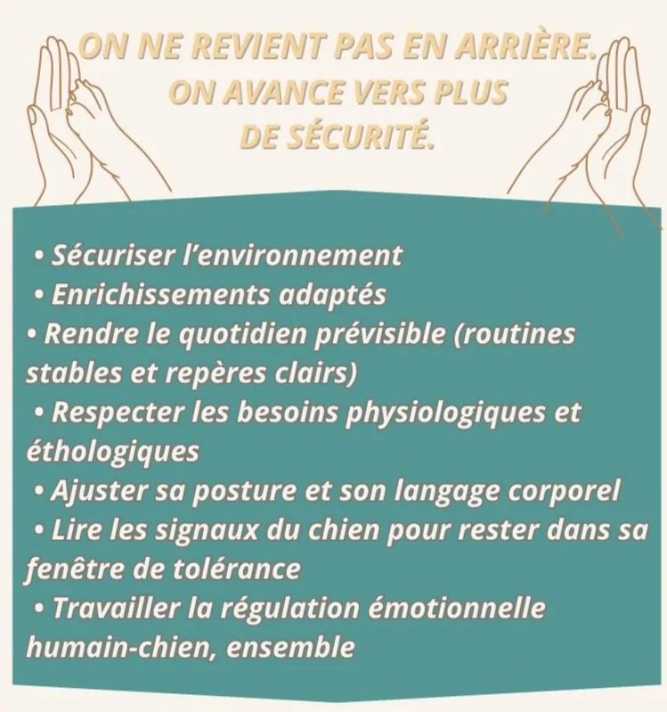 On ne revient pas en arrière, on avance vers plus de sécurité.