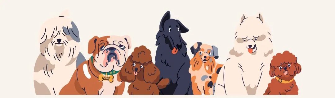 Illustration de l’article « Et si tout commençait autrement ?Pour toi, pour ton chien ! »