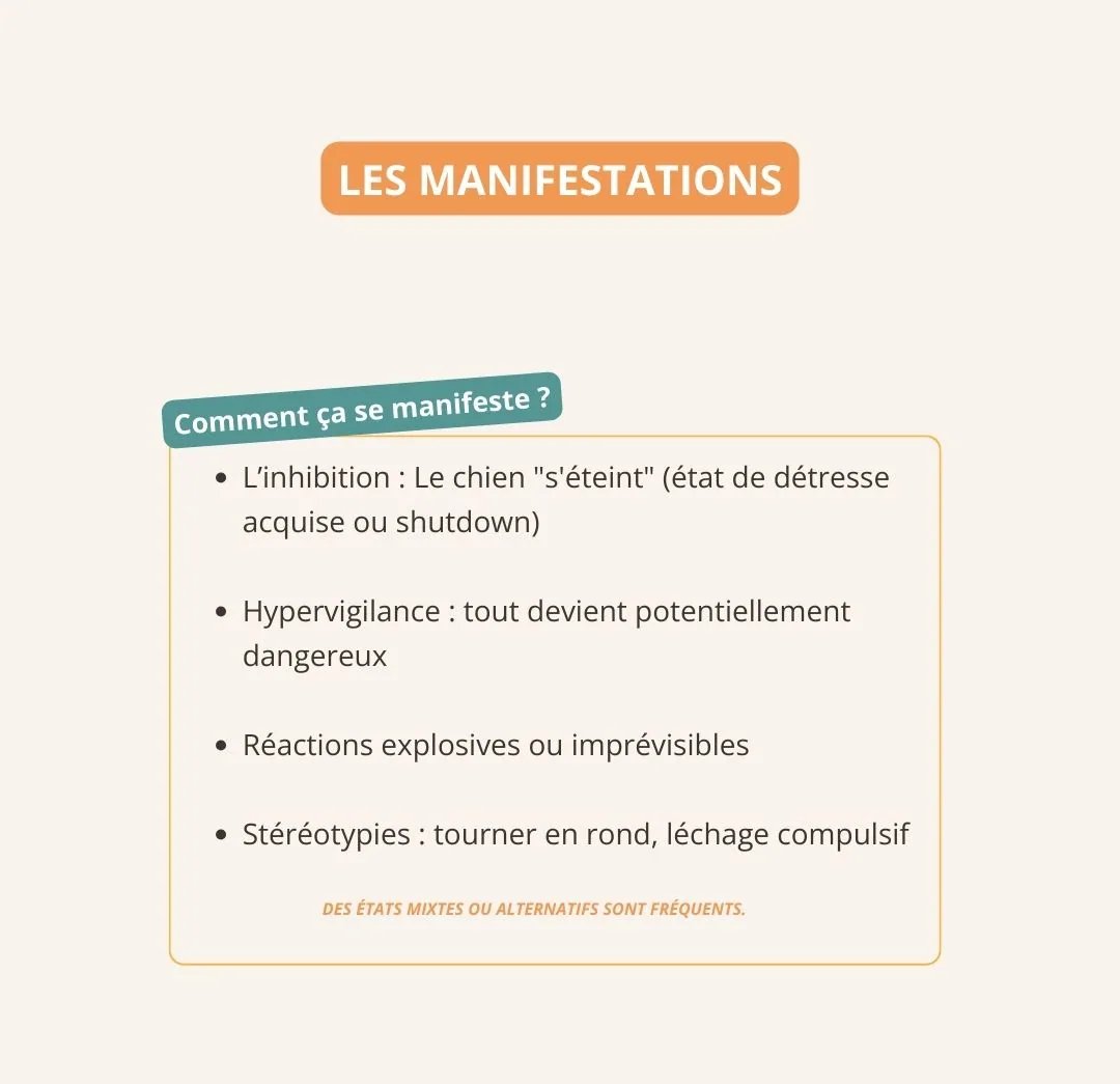 Comment le trauma s'exprime-t-il ?