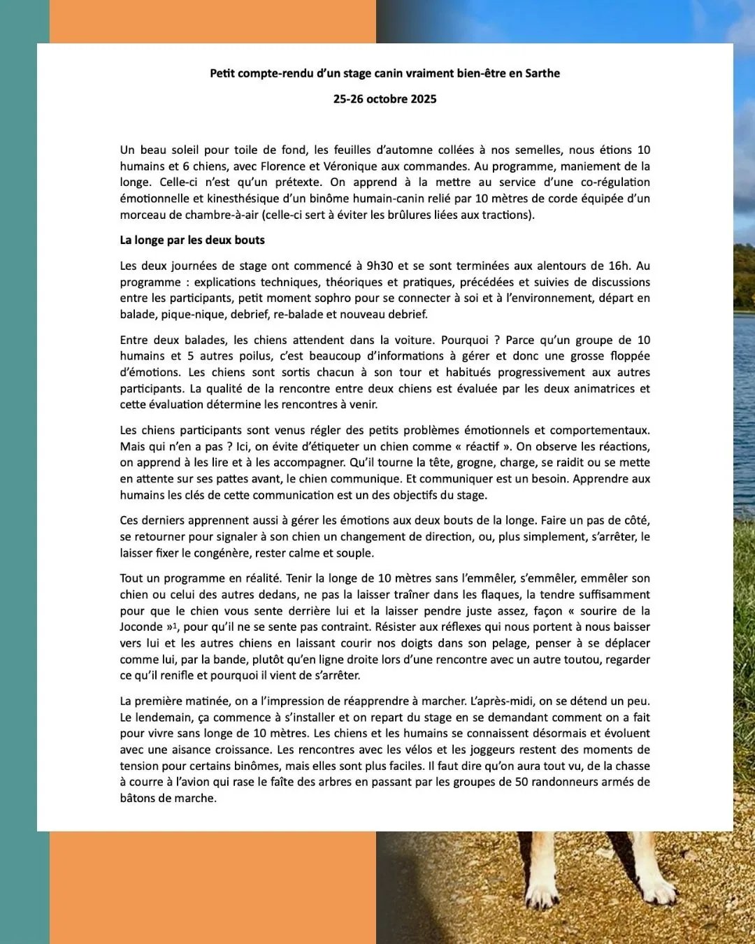 Première partie du compte-rendu du stage canin bien-être en Sarthe (octobre 2025). Le texte détaille le maniement de la longe de 10 mètres, la co-régulation émotionnelle et l'apprentissage de la communication canine à travers l'observation des réactions du chien.